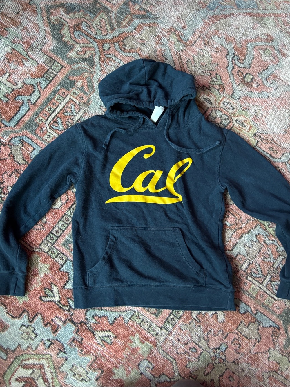 Cal Logo Navy Hooded Sweatshirt with Yellow Script